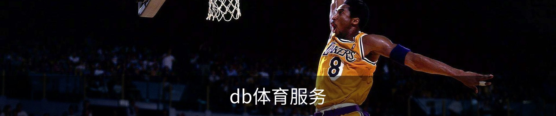 db体育服务